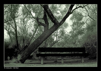 The common place - gilad benari