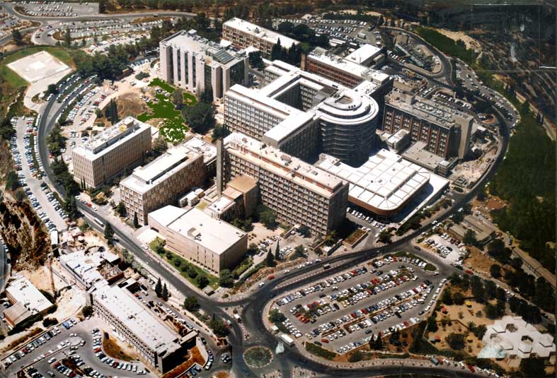 HADASSAH MEDICAL CENTRE JERUSALEN hadassah medical centre jerusalen: